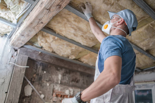 Best Cellulose Insulation in Homestead Meadows South, TX