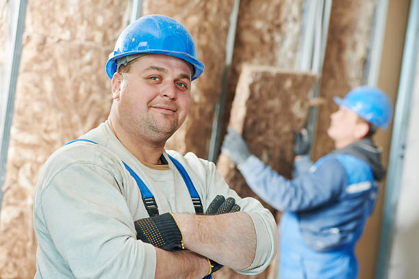 Best Geographic-Specific Insulation Services in Homestead Meadows South, TX